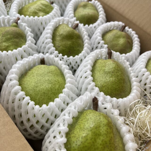 【贈答用】洋梨の女王［ラフランス🍐3kg/5kg］