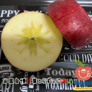 【家庭用】当園自慢の一品［葉とらずふじ🍎3㎏］