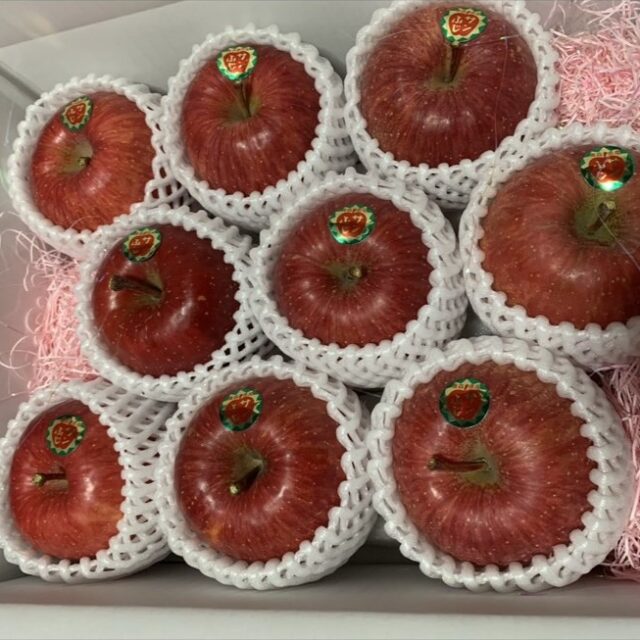 【家庭用・贈答用】［サンふじ🍎3㎏/5㎏/10㎏］